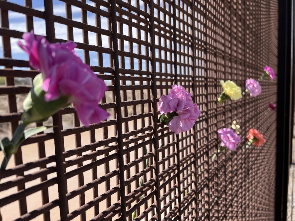 belleza y recuerdo_Marzo 4 beauty and remembrance_March 4