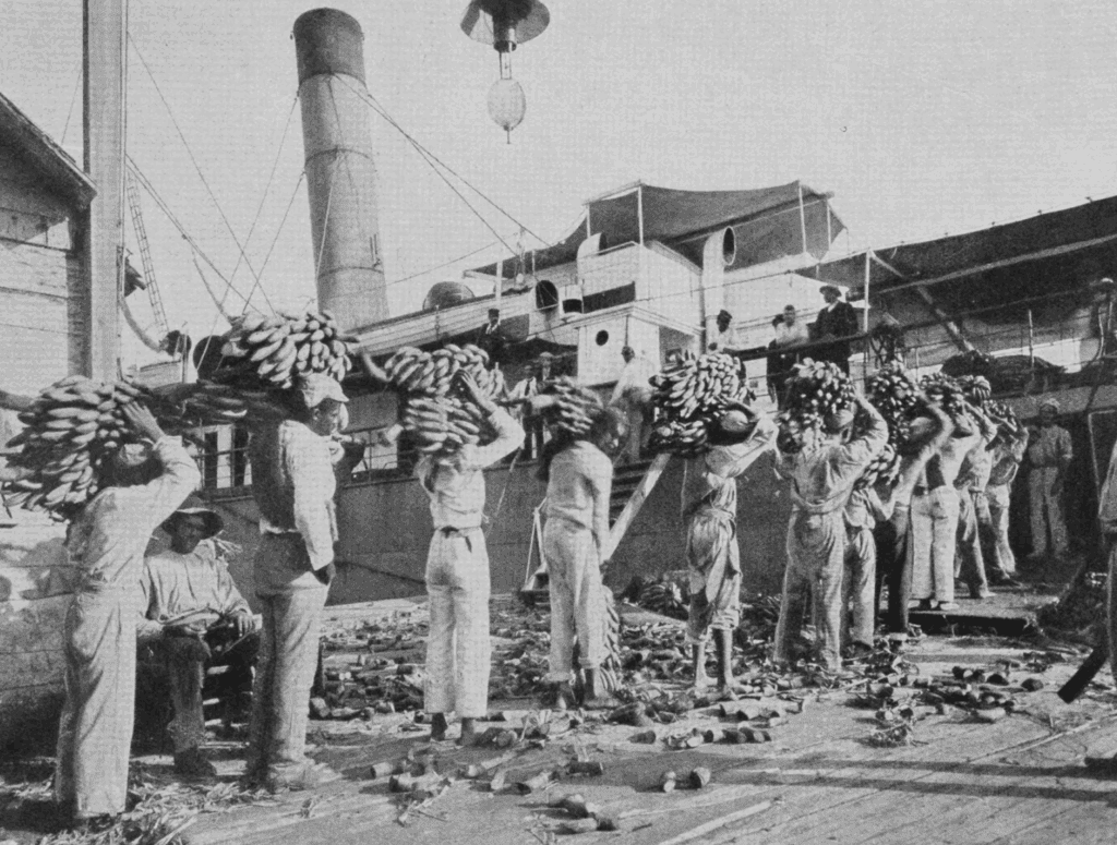 Abara Banana Republics_ Beyond the Brand Image